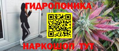 индика Партизанск