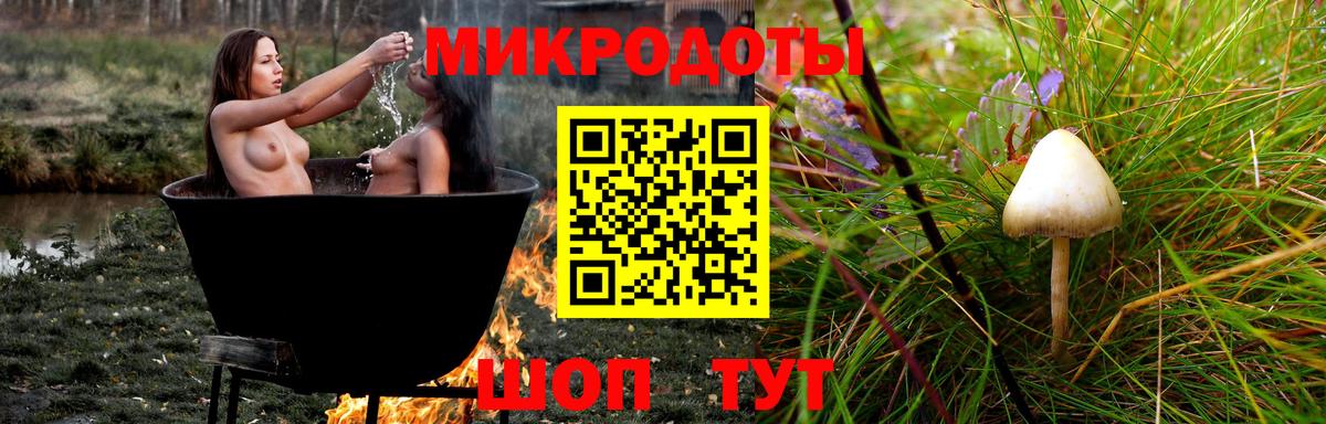 Псилоцибиновые грибы прущие грибы  Вход с VPN  купить наркотики цена  Октябрьский 